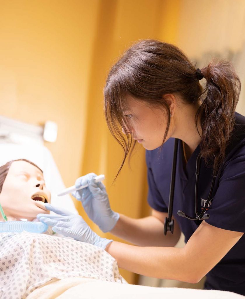 Accelerated Nursing Skills And Simulation Labs - Utica ABSN